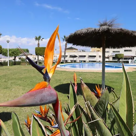 Apartamento 053 - Altomar Ii 003 - Comfortholidays Gran Alacant